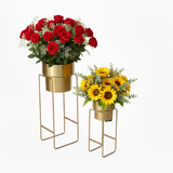 Luxe All-Gold Steel Planter set