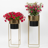 Dual Tone Gold & Black Steel Planter set
