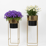 Dual Tone Gold & Black Steel Planter set
