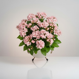 Minimalist White Iron Pot with Stand