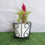 Classic Scroll Black Iron Pot Stand