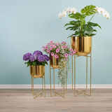 Luxe Gold Steel tree- tier Planter set