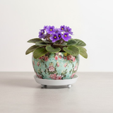 Designer Iron Pots with Tray