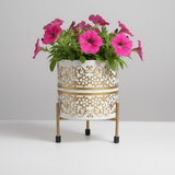 Gold Accent Iron Printed Pots with Stand