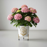 Nature Emblem Metal Pots with Stand