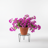 Modern V-Shape Steel Planter Stand