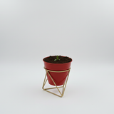 Ruby GeoFrame Planter