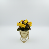 Gold GeoFrame Planter
