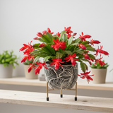 Monsoon Wave Steel Pot