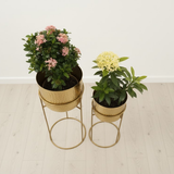 Regal Hammered Gold Steel Planters (Set of 2)