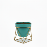 Aqua GeoFrame Planter