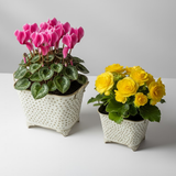 Oval Dotted Metal Pots with Antique Finish – Set of 2