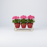 Ruby Trio Steel Pot Stand