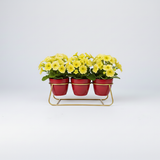 Ruby Trio Steel Pot Stand