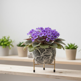 Monsoon Wave Steel Pot