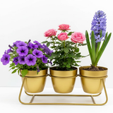 Gold Trio Steel Pot Stand