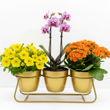Gold Trio Steel Pot Stand