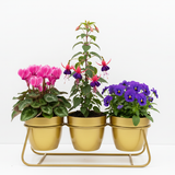 Gold Trio Steel Pot Stand