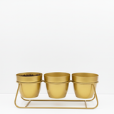 Gold Trio Steel Pot Stand