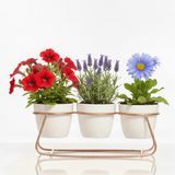 White Trio Steel Pot Stand