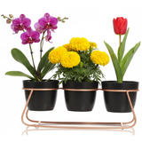 Black Trio Steel Pot Stand