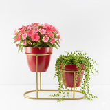 Ruby Red Three-Pot Steel Table Planter Stand