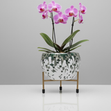 Mosaic Mini Steel Pot