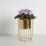 Gold Elegance Steel Planter