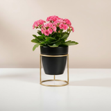 Black Classic Steel Pot with Golden Stand