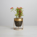 Black & Gold Embossed Pot