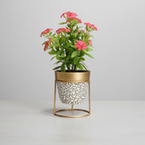 Small Pots with Gold Stand