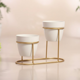 Modern Double Pot Stand with Golden Finish