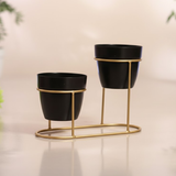 Modern Double Pot Stand with Golden Finish