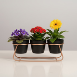 Black Trio Steel Pot Stand