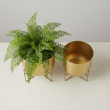 Classic Gold Steel Planters (Set of 2)