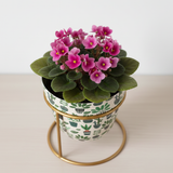 Leafy Forest Print Pot