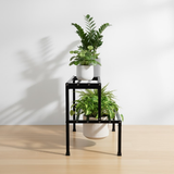 Two-Tier Steel Plant Display Stand