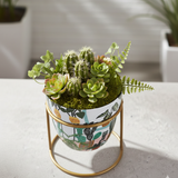 Cactus Orchard Print Pot