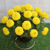 Black & Gold Embossed Pot