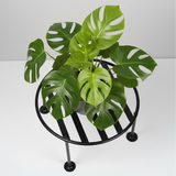 Steel Round Pot Stand