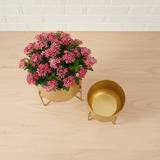 Hammered Gold Steel Planters (Set of 2)