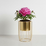 Gold Elegance Steel Planter