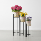 Luxe Lattice Steel Planters Set of 3