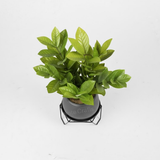 Steel Hexagonal Pot Stand Set