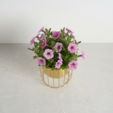 Gold Elegance Steel Planter