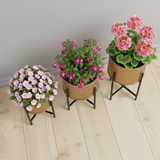Steel Modern Cylinder Planter Set