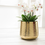 Gold Steel Decorative Metal Planter