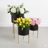 Black Cylinder Steel Planter Set with Gold Stand