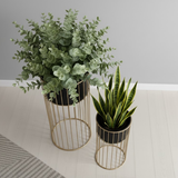 Tall Black & Gold Steel Planter Set