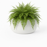 Handi Pot – White